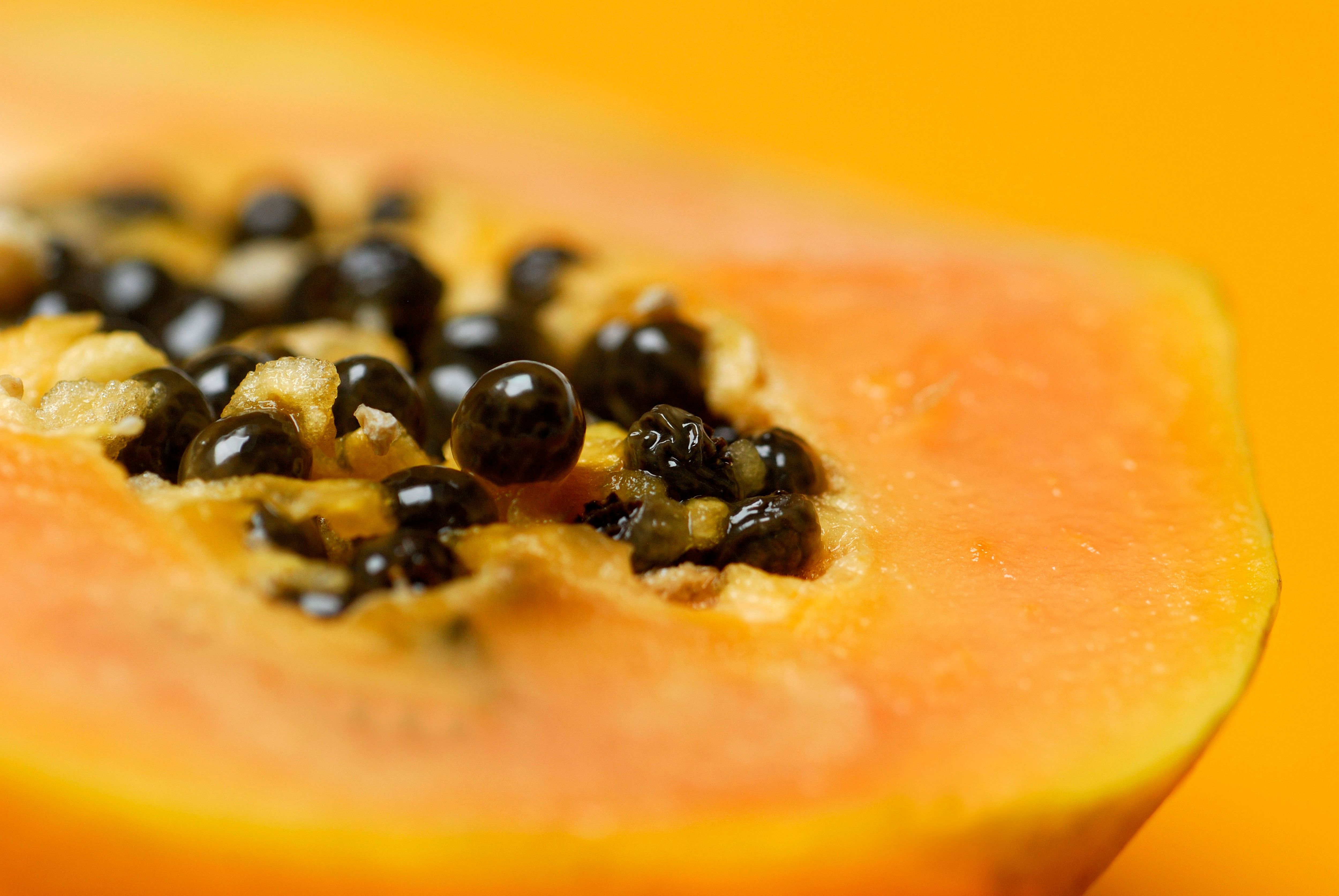 Papaya-Kerne zeichnen sich durch ihre milde Schärfe aus. Daher eignen sie sich optimal zum Würzen. Achte darauf, nur Kerne von vollreifen Papayas zu verwenden. Diese musst du dafür waschen und trocknen.