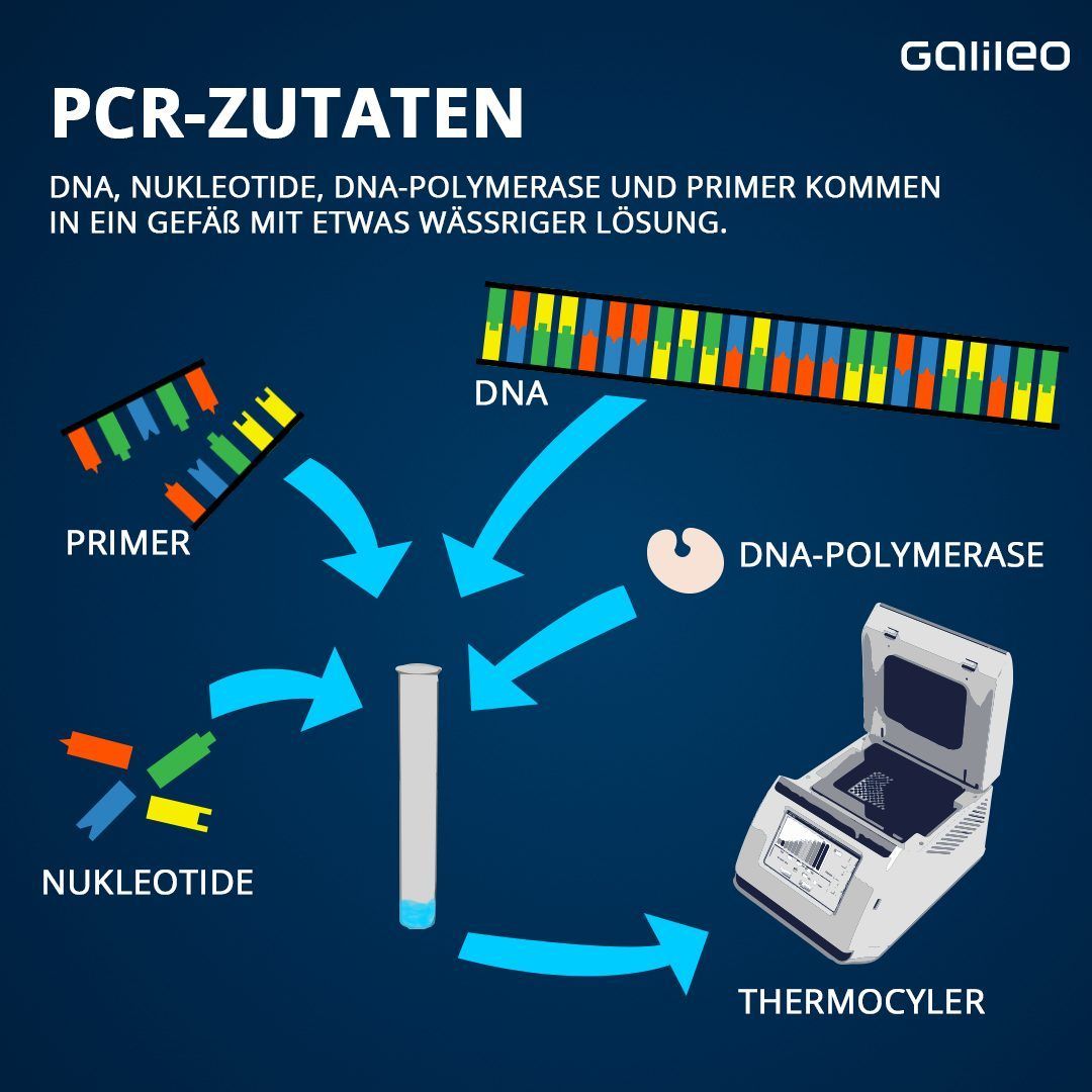 So funktioniert ein PCR-Test