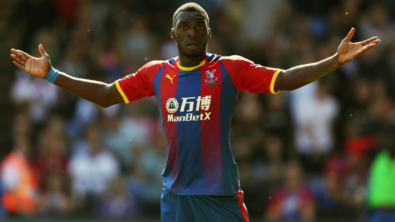 
                <strong>Crystal Palace</strong><br>
                Rekordtransfer: Christian BentekeAblösesumme: 31,2 Millionen EuroVerpflichtet vom: FC Liverpool (August 2016)
              