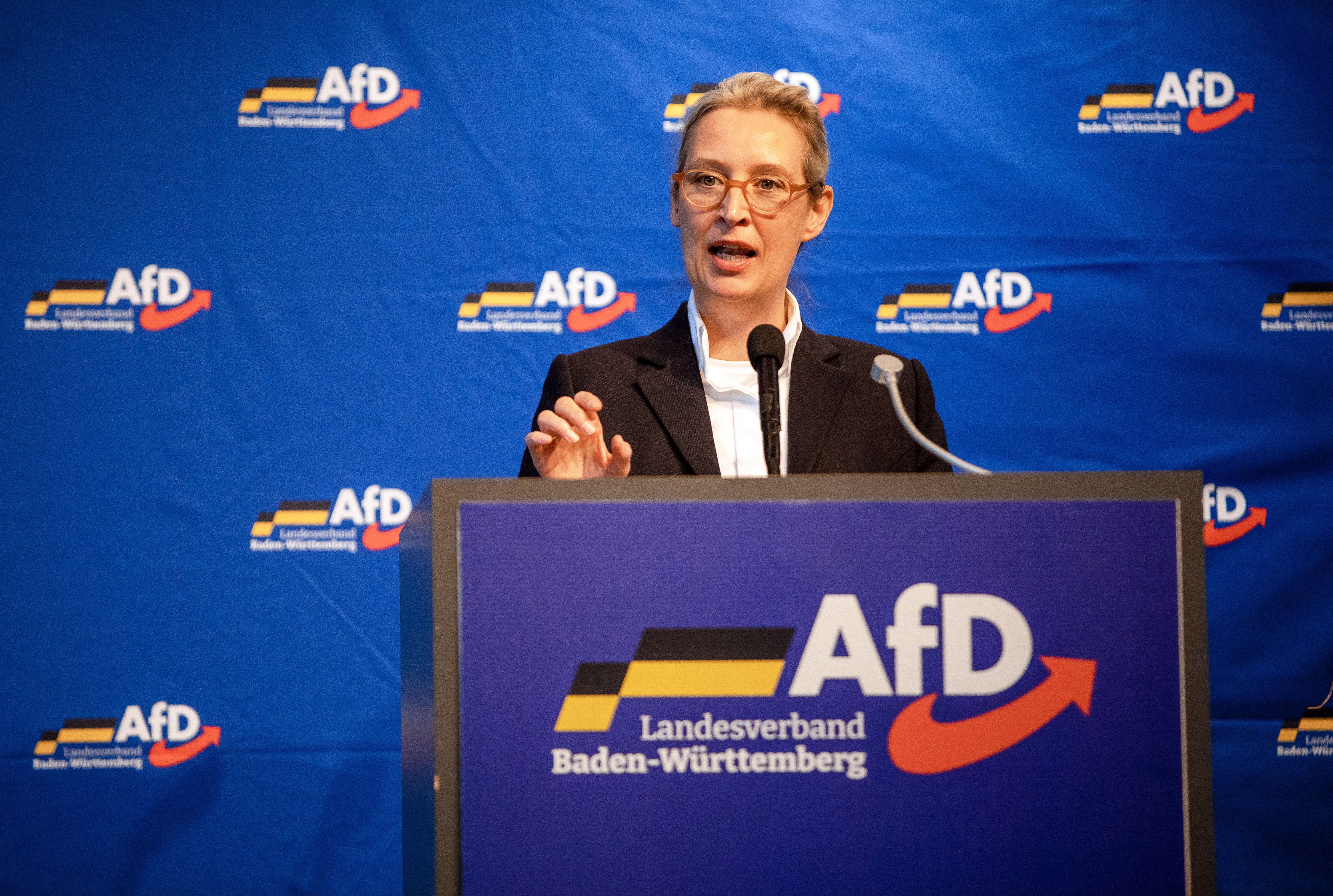 "Lügen": So Verteidigt AfD-Chefin Weidel Die "Remigration" Vor Le Pen