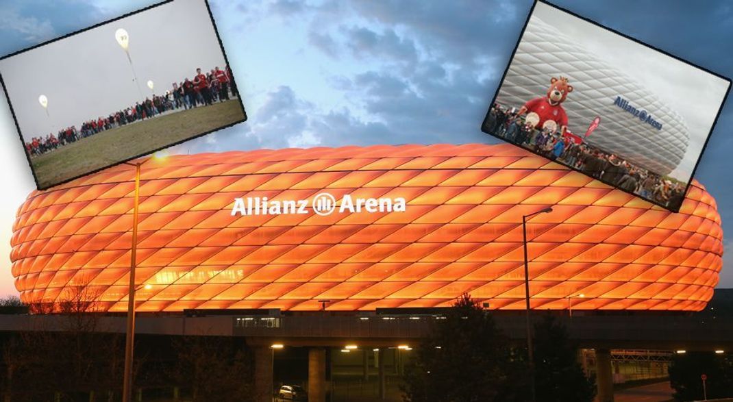 Article Image Media