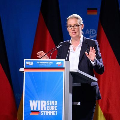 AfD-Bundesparteitag