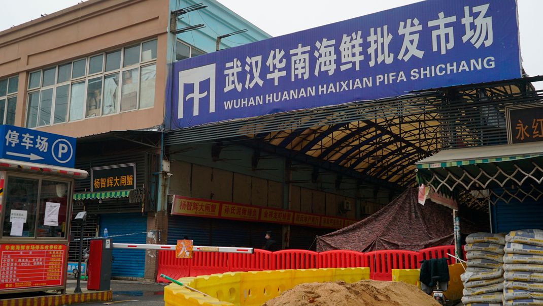 Marderhunde sollen die Corona-Quelle sein: Eine neue Untersuchung vom Markt im chinesischen Wuhan scheint den Beweis zu bringen.