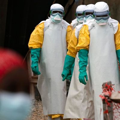 In der DR Kongo meldet die WHO neue Ebola-Fälle – Experten sind vor Ort im Einsatz.