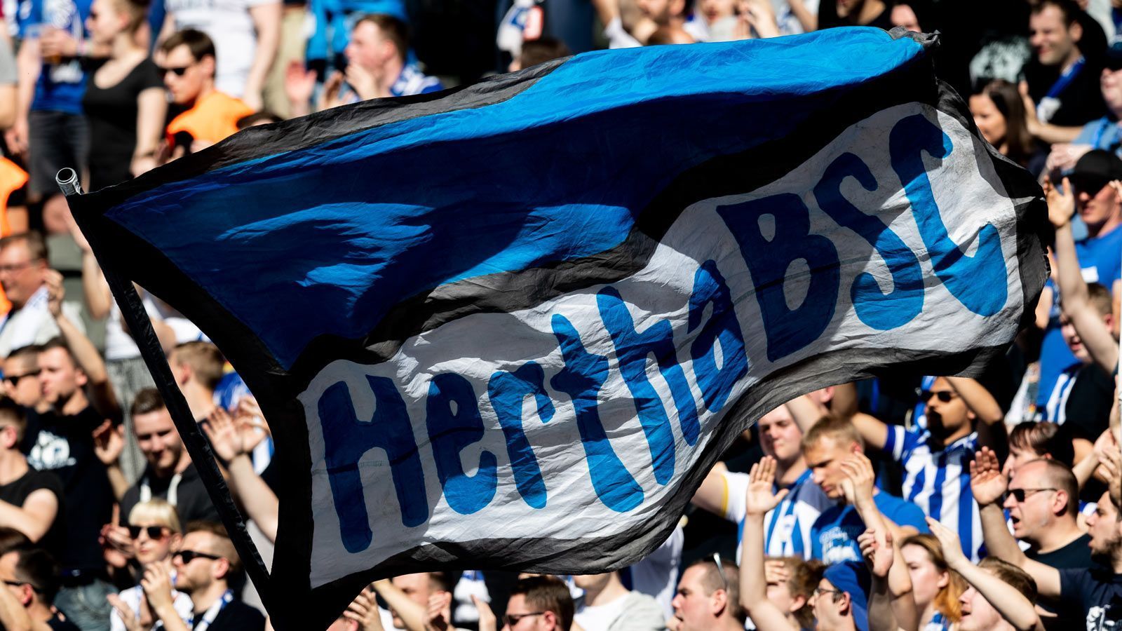 
                <strong>Hertha BSC</strong><br>
                Stehplatzpreis: 199 Euro (+ 1 Euro)Maximalpreis (Sitzplatz): 696 Euro (+ 4 Euro)
              