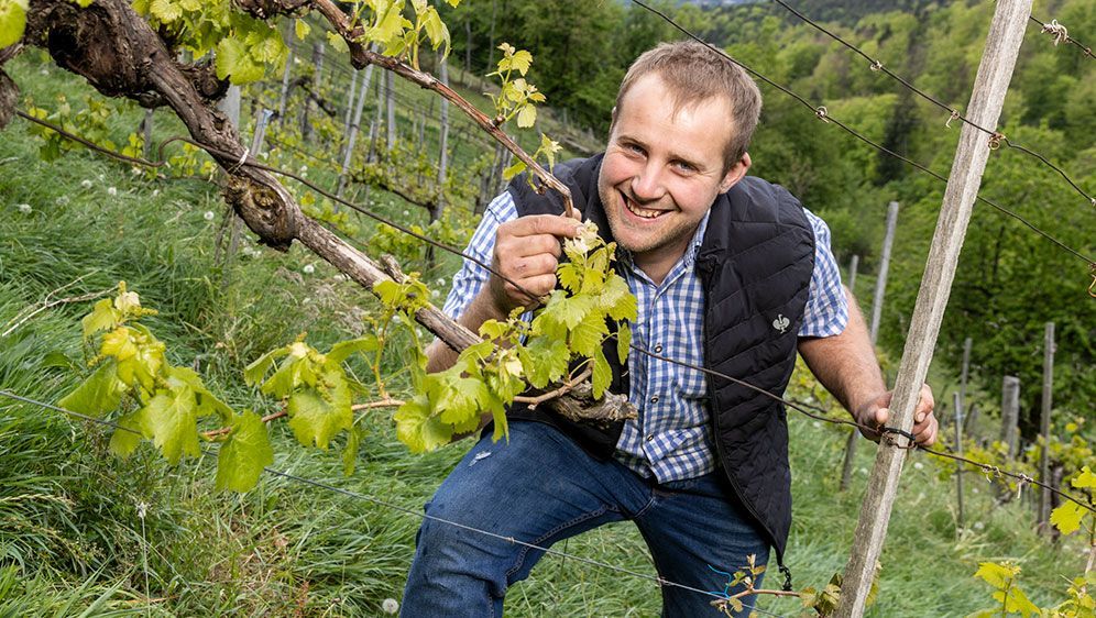 Domenik wünscht sich eine temperamentvolle, treue Frau mit natürlichem Look an seiner Seite.