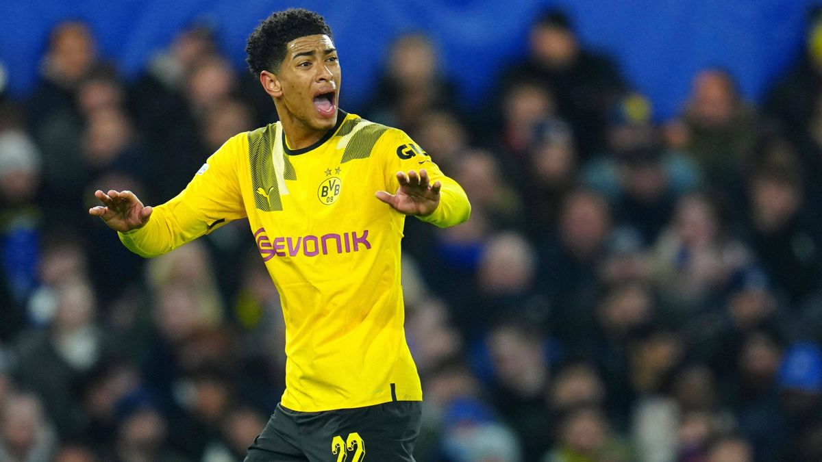 BVB Pressestimmen