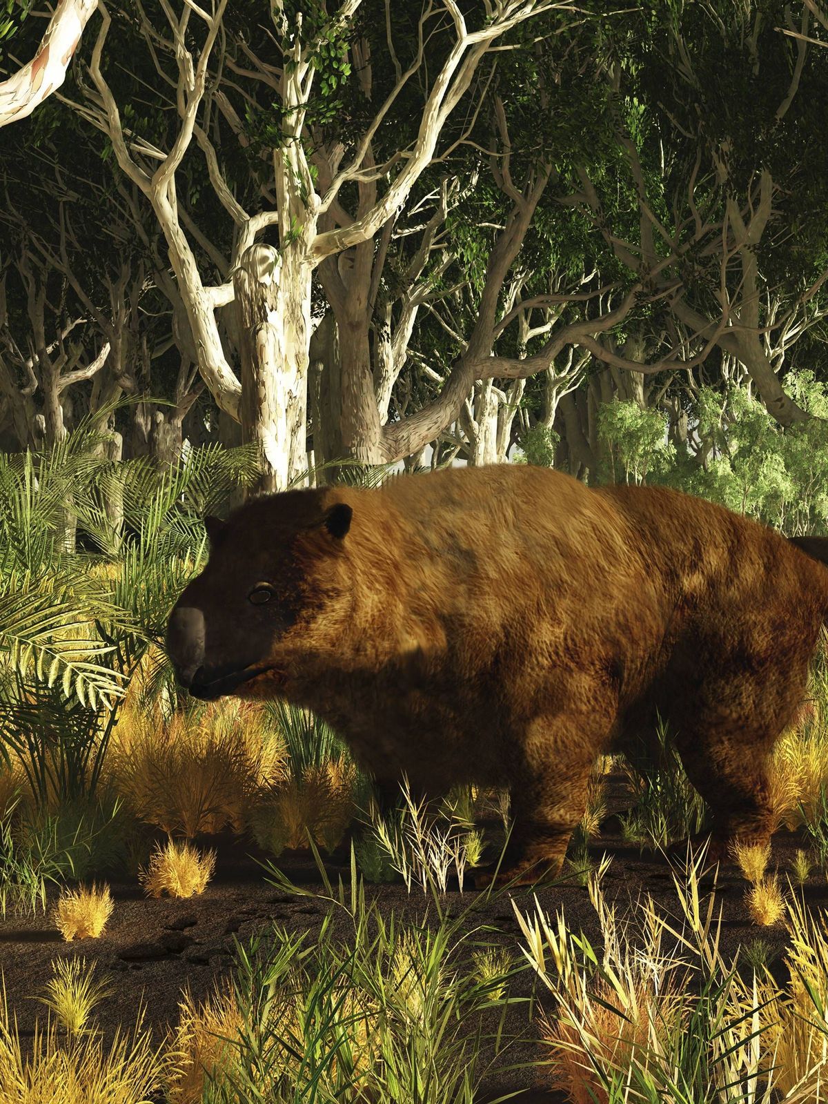 riesen-wombat-diprotodon-beuteltier-australien-imago 72619665