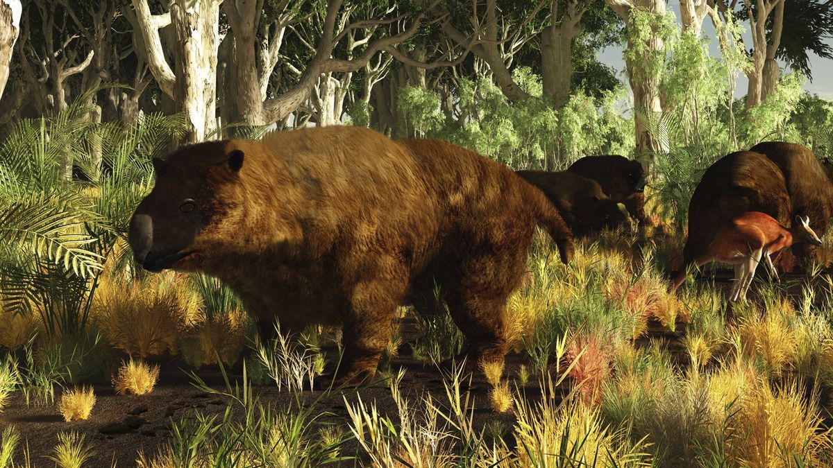 riesen-wombat-diprotodon-beuteltier-australien-imago 72619665