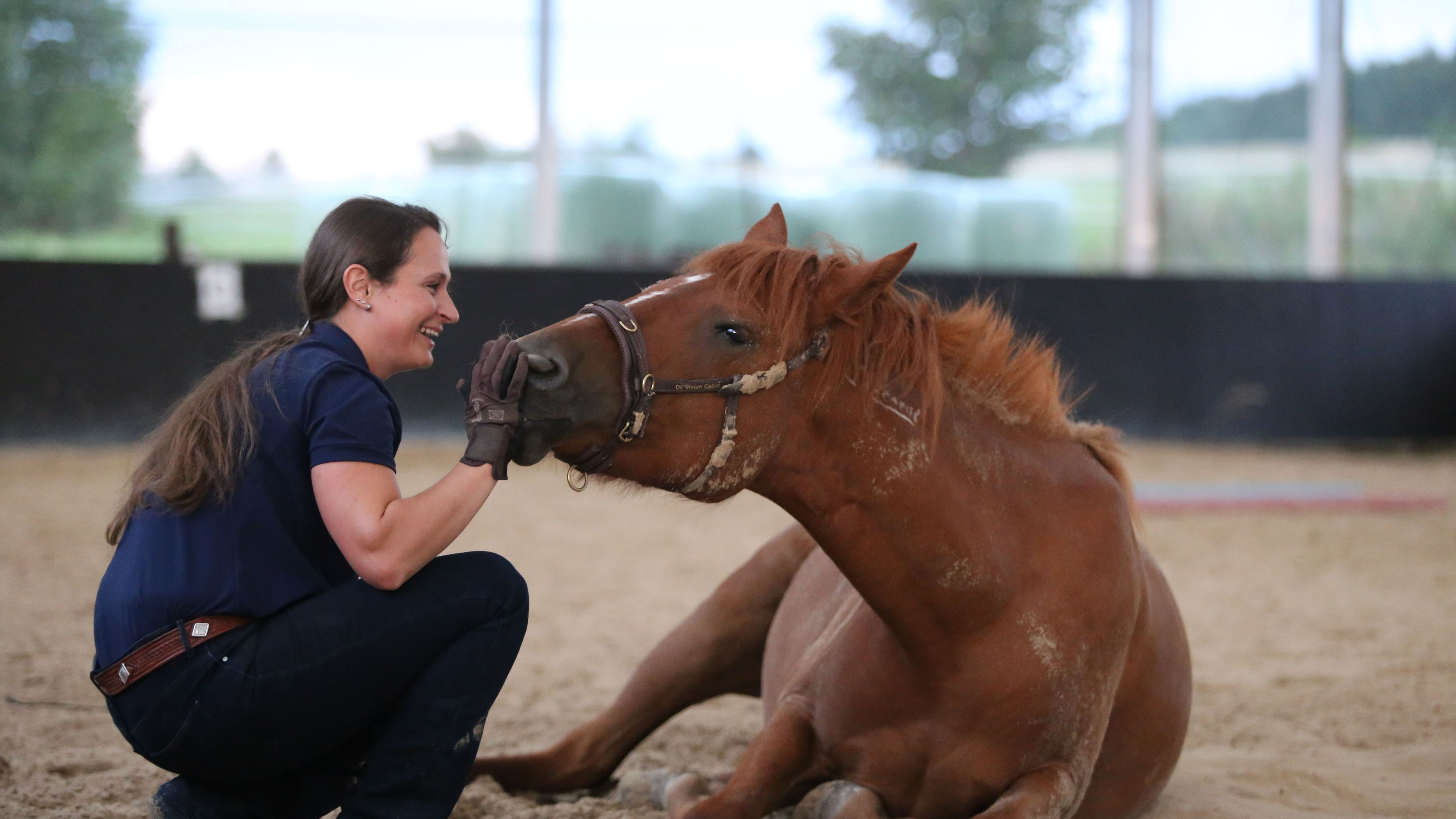 Vertrauensbeweis: Die Mustang-Stute legt sich hin, der Mensch darf nah sein. Für Fluchttiere ist das Hinlegen ein Zeichen von echtem Vertrauen.