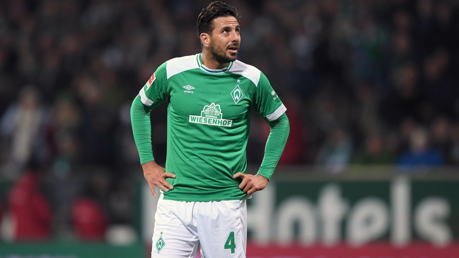 
                <strong>Platz 8 - Claudio Pizarro</strong><br>
                Tore im DFB-Pokal: 31Verein(e): SV Werder Bremen, 1. FC Köln, Bayern München
              