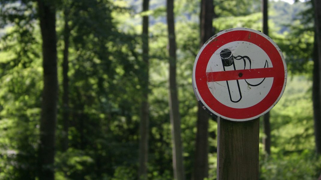 Zum Wochenende wird es erneut über 30 Grad heiß in Deutschland. Insbesondere im Osten der Republik steigt daher auch die Waldbrandgefahr.