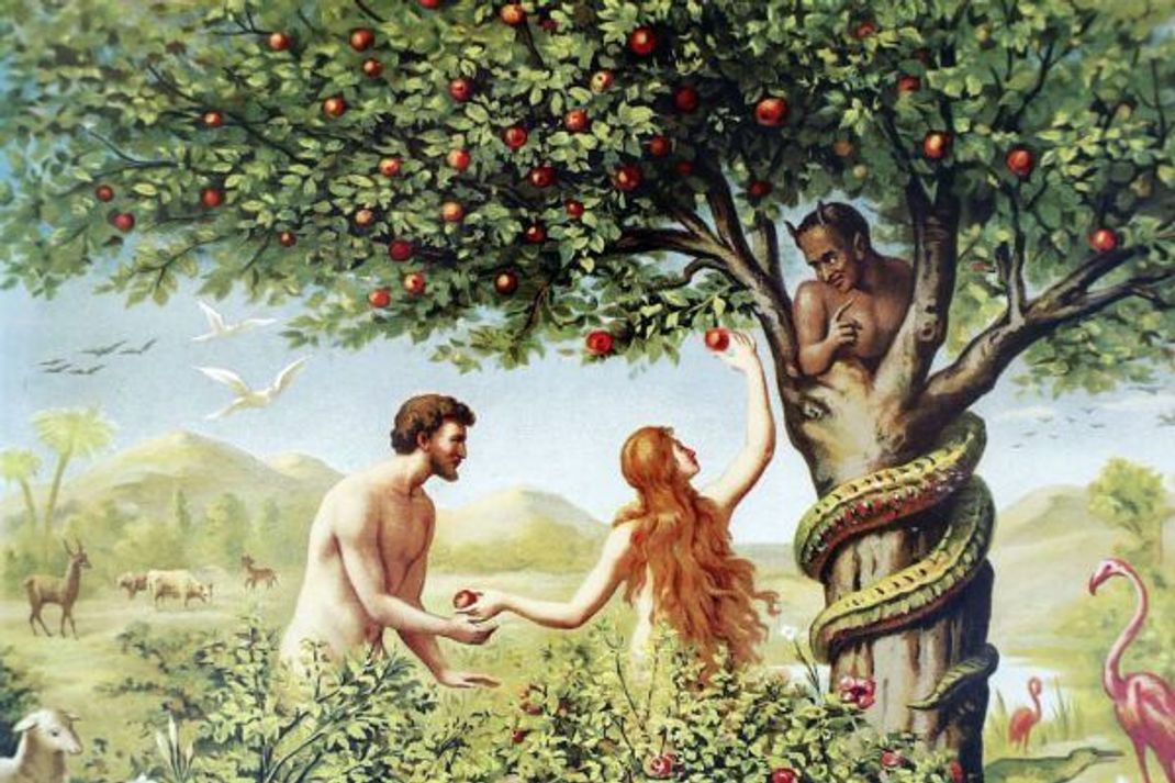Schon Eva konnte in der biblischen Schöpfungsgeschichte dem verbotenen Apfel nicht widerstehen.