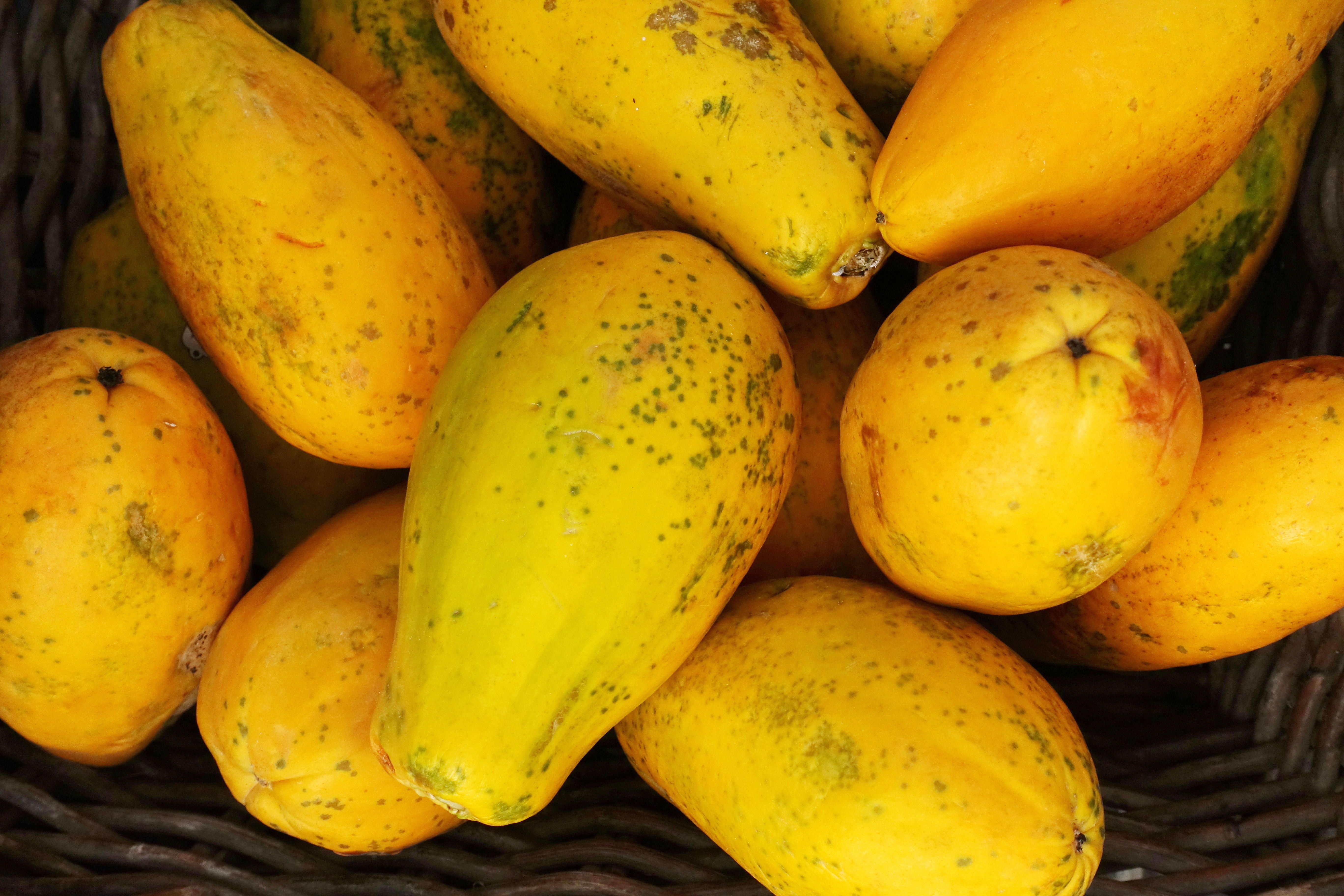 An der Schalenfarbe lässt sich erkennen, ob die Frucht reif ist oder nicht. Sind die Papayas gelblich mit rötlichen Flecken, dann schmecken sie am besten. Im Kühlschrank halten sie in diesem Stadium etwa eine Woche.