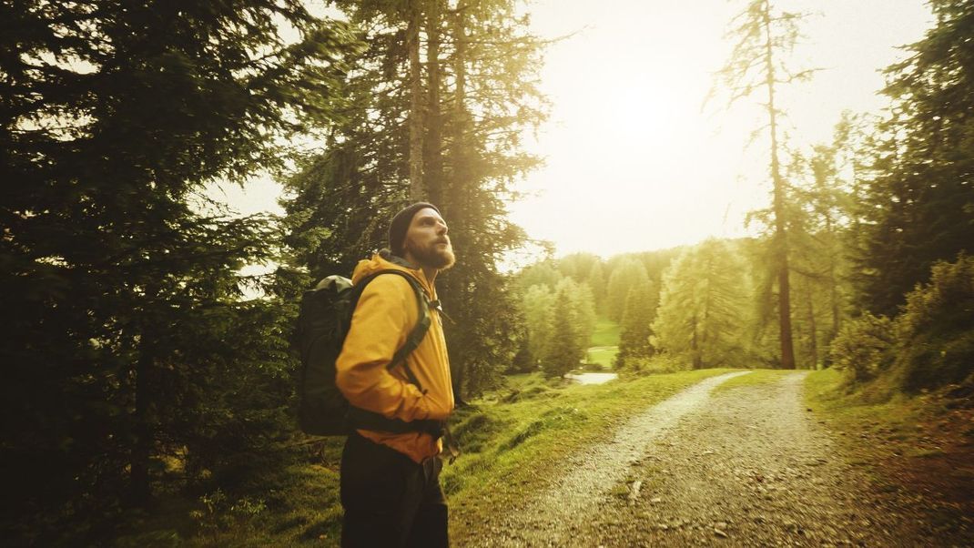 Abschalten und Kraft tanken: Beim Spaziergang im Wald entkommst du dem Stress des Alltags.