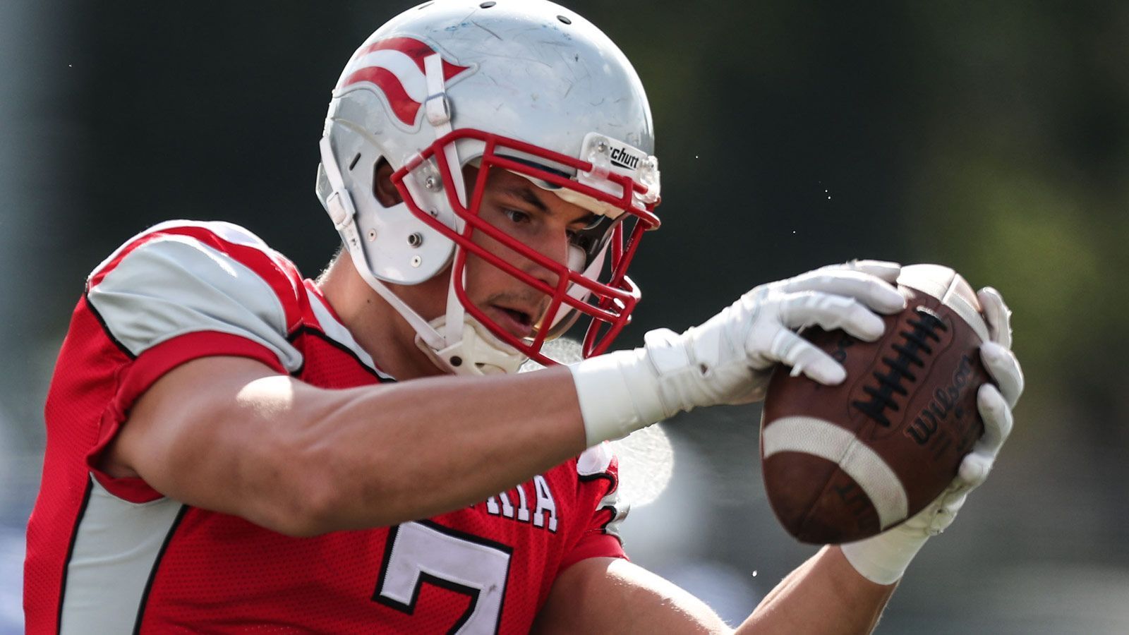 
                <strong>Bernhard Seikovits</strong><br>
                Bernhard Seikovits war bereits im Vorjahr im International Pathway Program vertreten, konnte sich jedoch nicht durchsetzen. Nun will der Tight End, der für die Dacia Vienna Vikings und die österreichische Nationalmannschaft spielte, die zweite Chance nutzen.
              