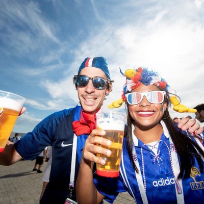 Fans trinken Bier WM 2018