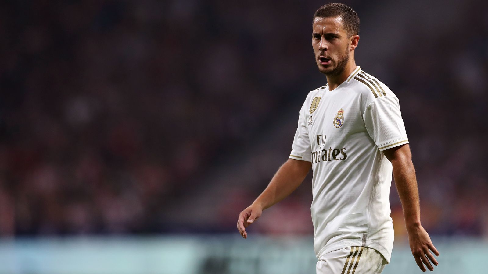 
                <strong>Eden Hazard (Real Madrid)</strong><br>
                Position: AngriffAlter: 28 JahreNationalität: Belgien
              