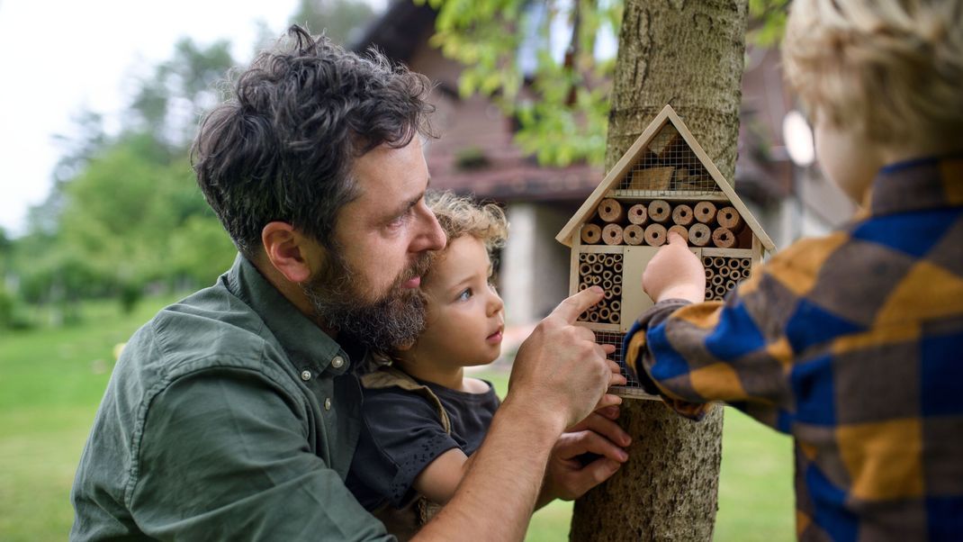 Ein Insektenhotel ist eine tolle Möglichkeit um Kindern unser Ökosystem und die Bedeutung von Insekten näher zu bringen.