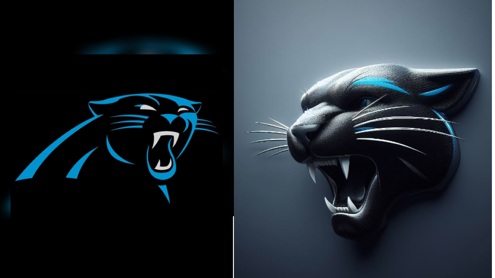 <strong>Carolina Panthers</strong>