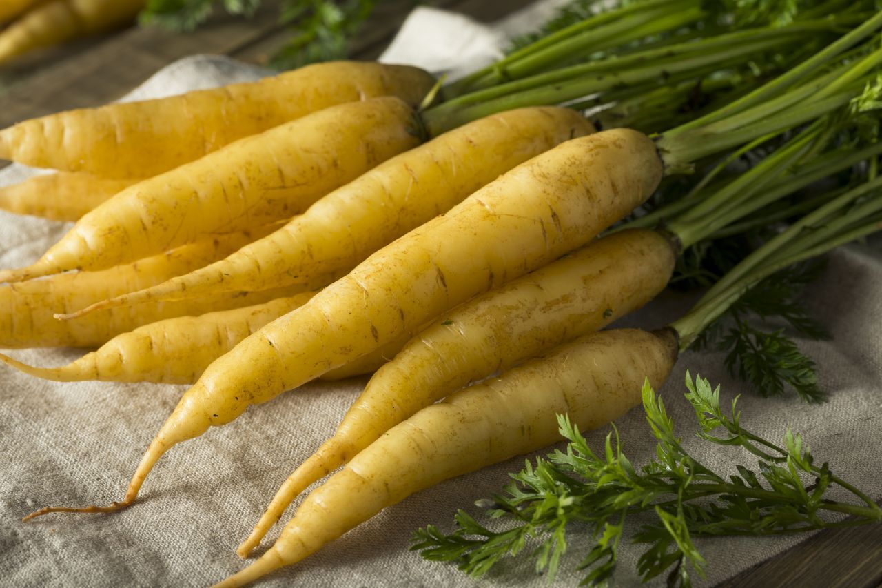 Jaune Doubs: Benannt nach der französischen Region Doubs, schmeckt diese gelbe Karotten-Sorte weniger süß. Sie eignet sich daher besonders gut für Eintöpfe. 