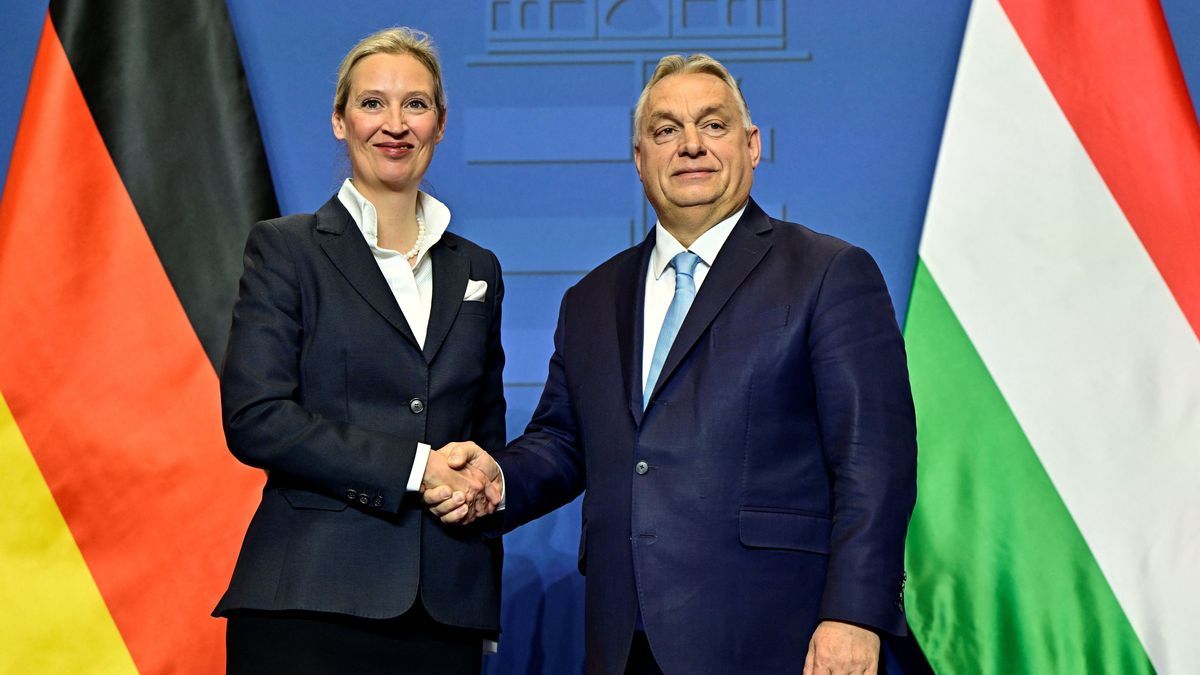 Alice Weidel hat eine gemeinsame Pressekonferenz mit Viktor Orban gegeben.