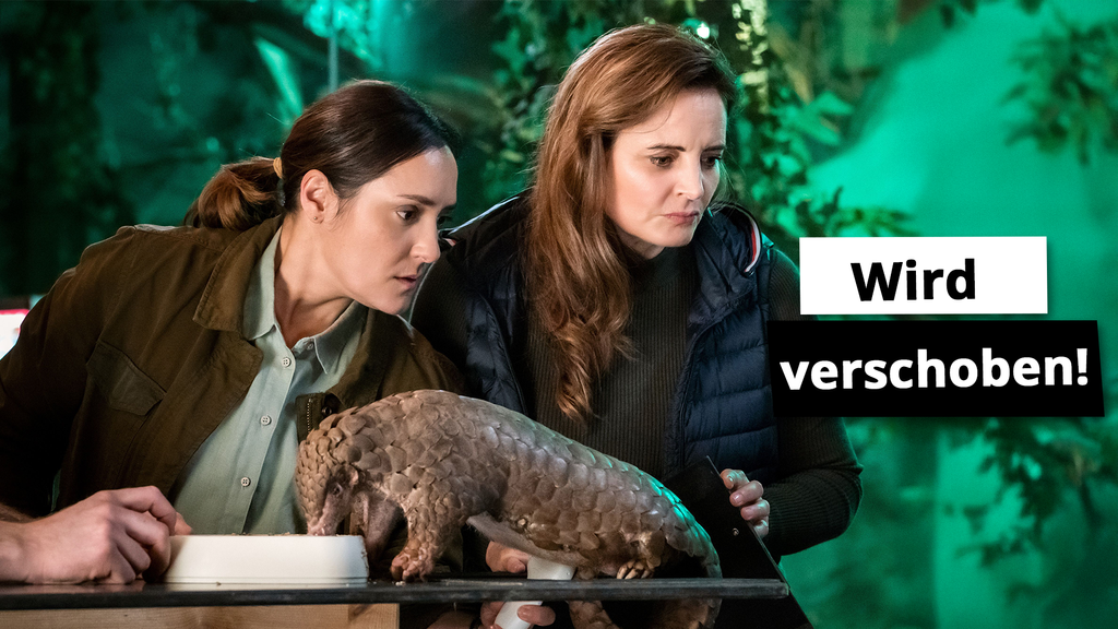 Programmänderung: "Tierärztin Dr. Mertens" läuft heute später
