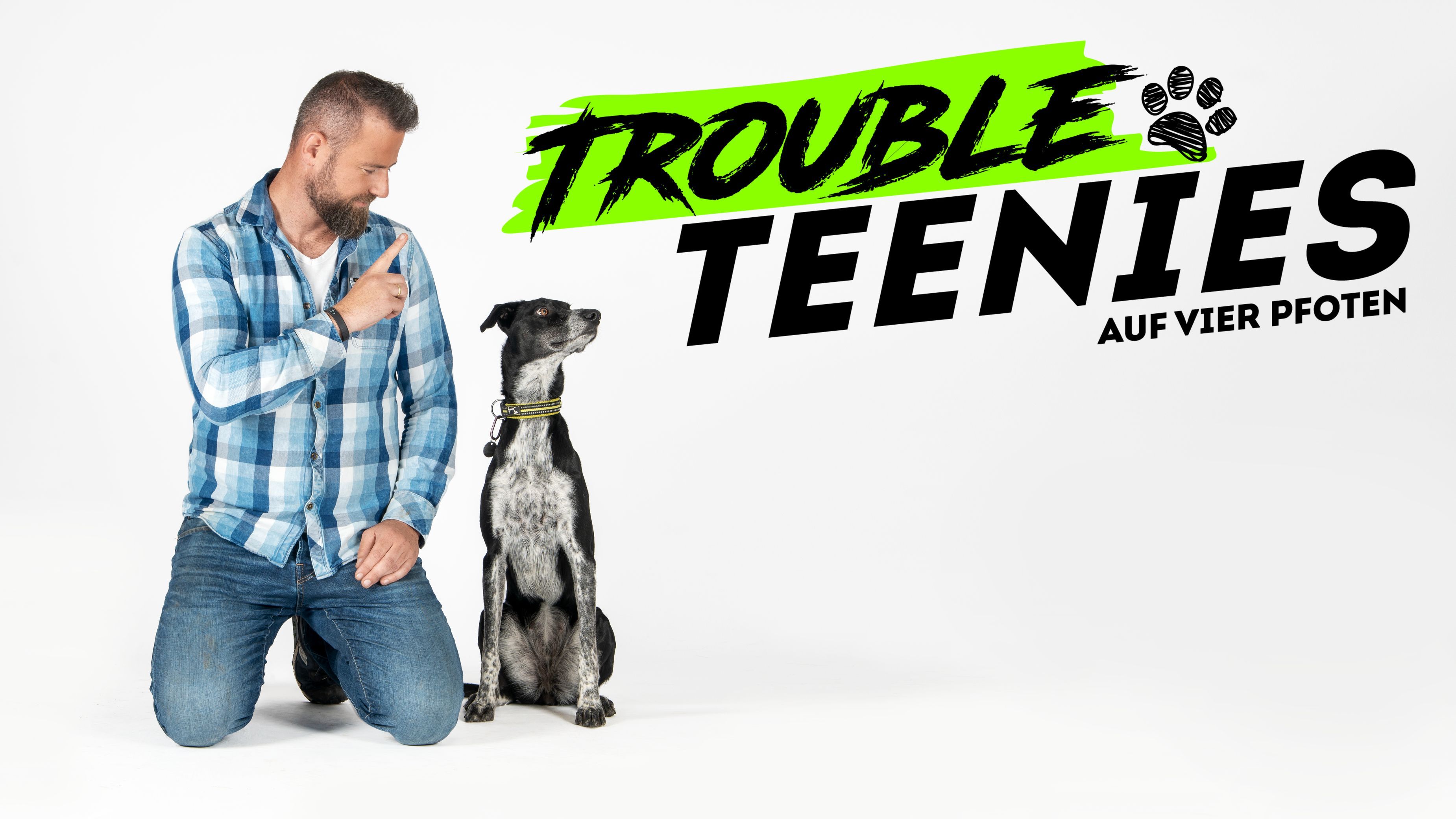 Trouble Teenies auf 4 Pfoten