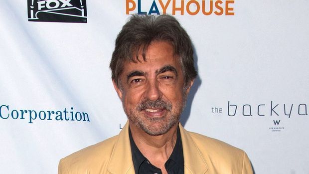 Joe Mantegna Image