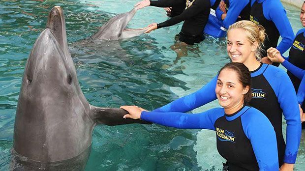 
                <strong>Besuch bei den Delphinen</strong><br>
                Zusammen mit der Österreicherin Tamira Paszek besucht Sabine Lisicki am Rande der Sony Ericsson Open das "Miami Seaquarium"
              