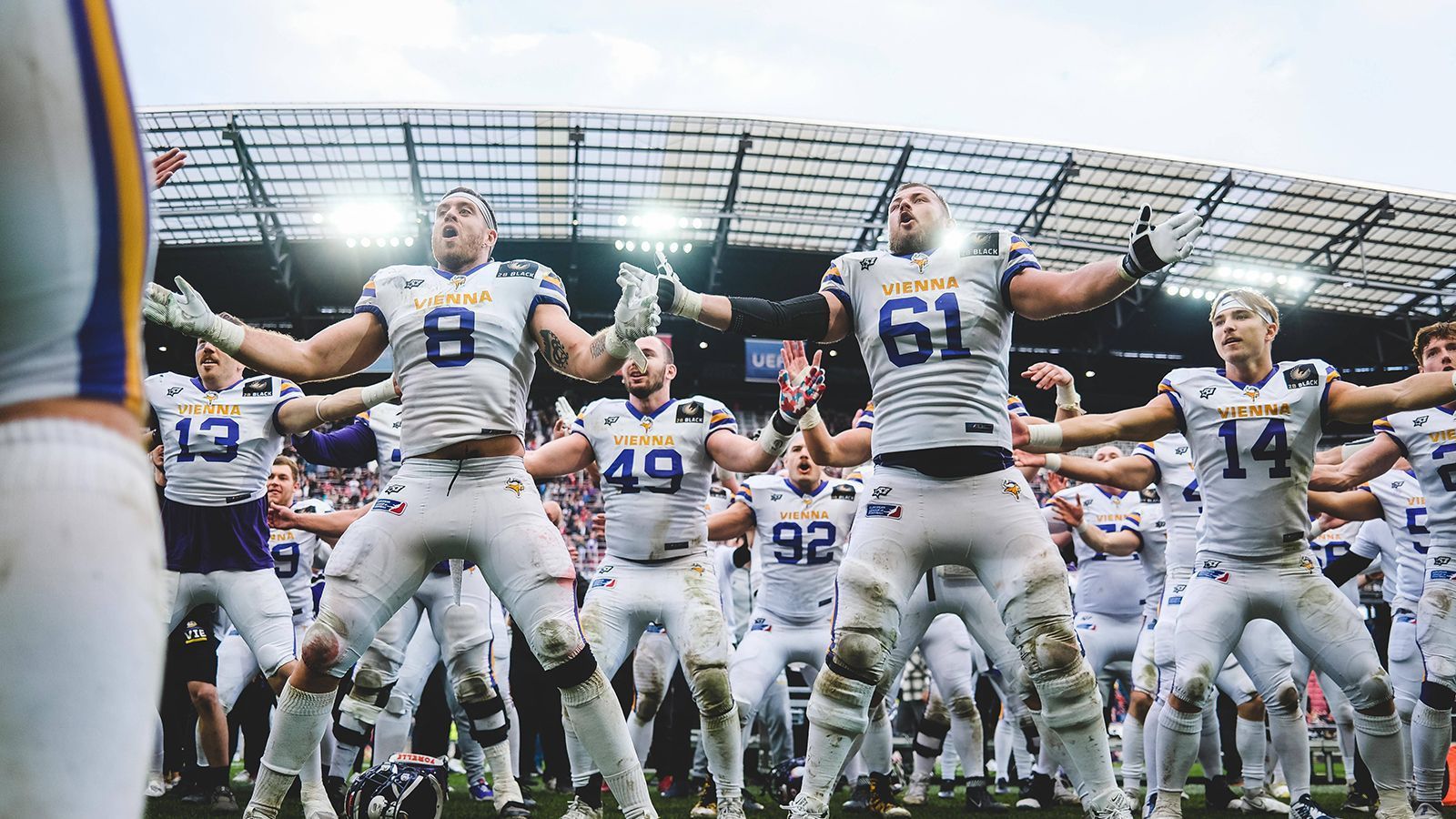 <strong>Vienna Vikings</strong><br>
                Der Sieger der zweiten ELF-Saison hat 2024 wieder Großes vor. Tickets für die Heimspiele gibt es schon zu kaufen, es ist allerdings noch offen, wo genau diese stattfinden werden. Bisher spielten die Vikings in der Generali-Arena , in der auch der Fußballverein FK Austria Wien spielt.
