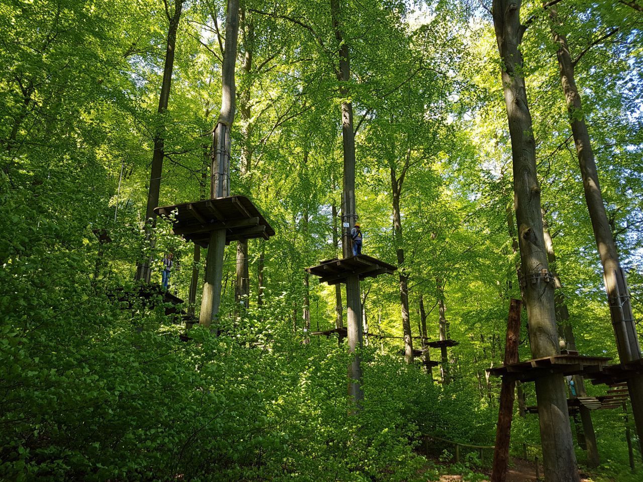 Wolltest du schon immer Tarzan spielen? Im Klettergarten schwingst du dich von Baum zu Baum. 