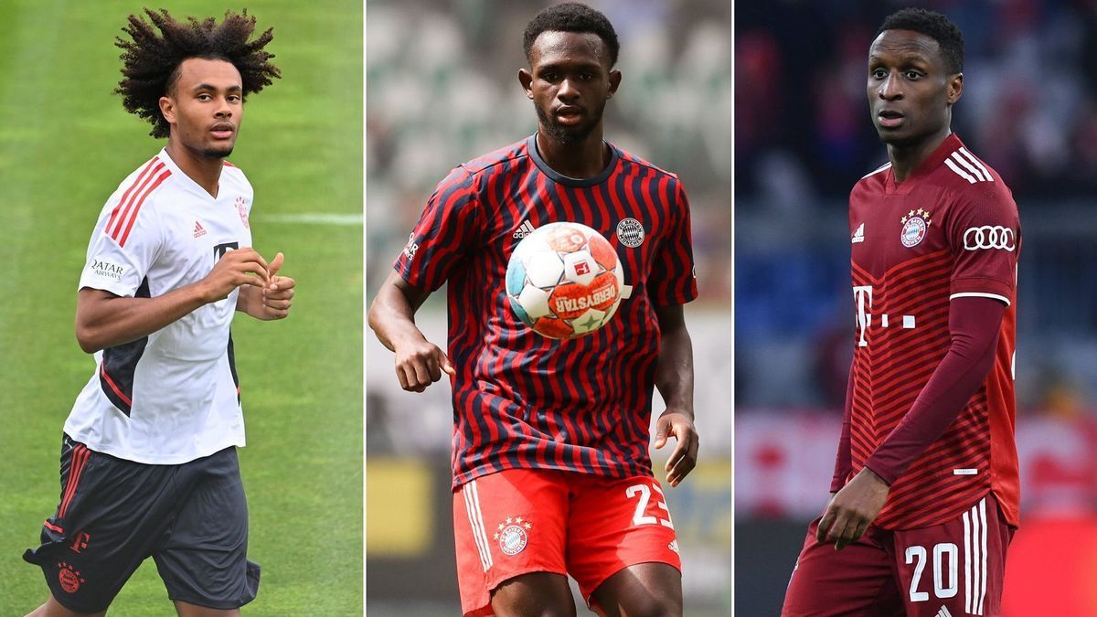 FC Bayern München: Der Stand bei Zirkzee, Nianzou und Sarr