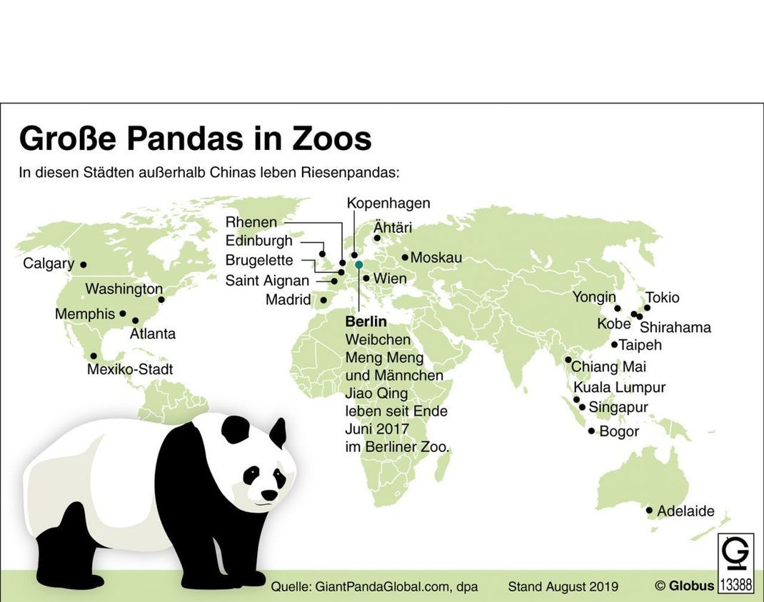 In diesen Städten leben Riesenpandas im Zoo (außerhalb von China). 