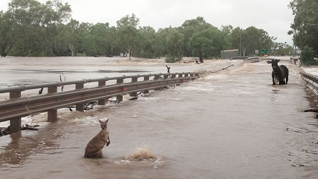 Die Region Kimberley im Nordwesten Australiens ist von starken Regenfällen heimgesucht worden. Mensch und Tier sind von den Wassermassen bedroht. (AAP Image/Supplied by Andrea Myers)&nbsp;
