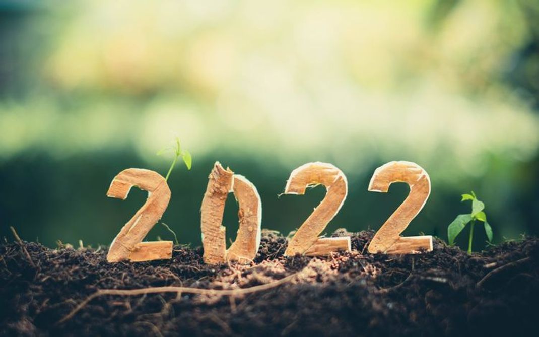 Umweltfreundlich im neuen Jahr – mit diesen Tipps und Tricks klappt es 2022 mit der Nachhaltigkeit