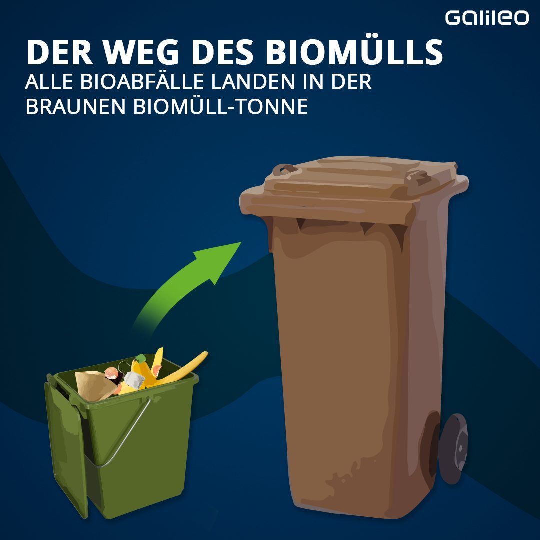 Der Weg von Biomüll. Was passiert damit