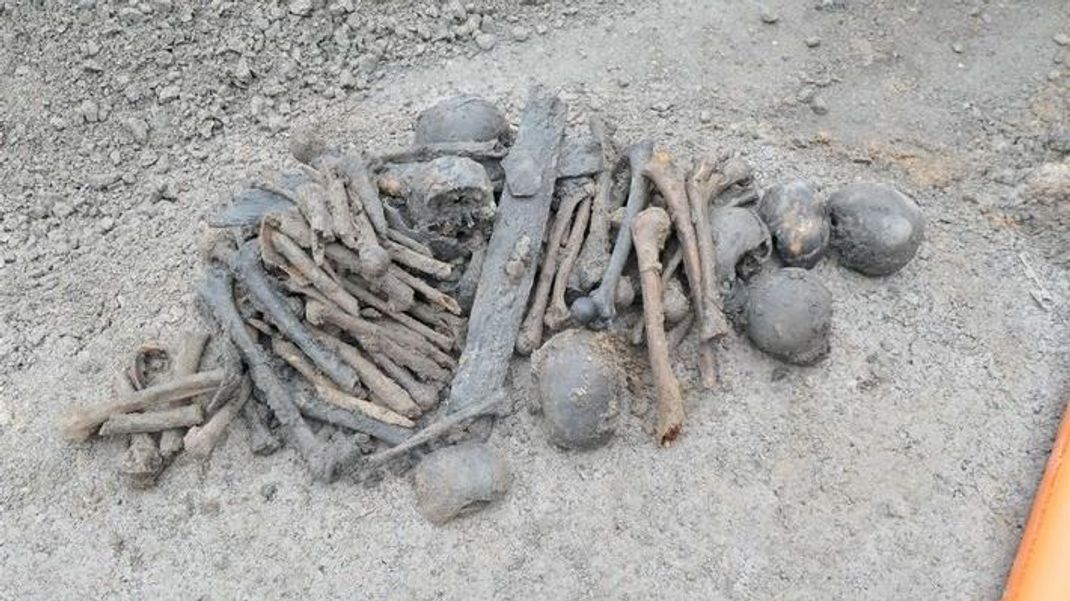 Schaurige Entdeckung: Bauarbeiter:innen finden diese Knochen bei ihrer Arbeit in Lippetal.