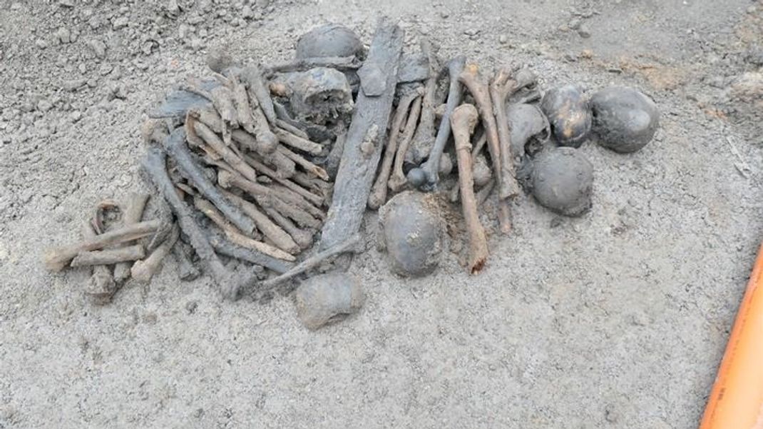Schauriger Fund: Bauarbeiter entdeckten diese Knochen bei ihrer Arbeit