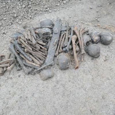 Schauriger Fund: Bauarbeiter entdeckten diese Knochen bei ihrer Arbeit