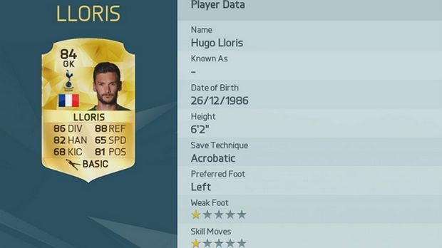 
                <strong>Hugo Lloris</strong><br>
                Hugo Lloris
              