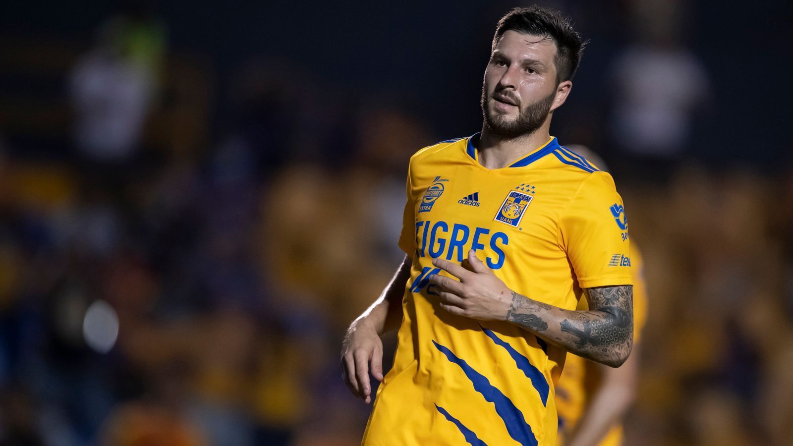 
                <strong>Andre-Pierre Gignac (Tigres UANL/Mexiko)</strong><br>
                In Chicharitos Heimat Mexiko ist nicht etwa ein einheimischer Spieler der große Star der Liga MX, sondern ein Franzose: Andre-Pierre Gignac. Der 35-Jährige wechselte überraschend im Sommer 2015 von Olympique Marseille nach Mexiko zu Tigres UANL und hat dort mittlerweile seine sportliche Heimat gefunden. Seit der Routinier für den mexikanischen Klub stürmte, wurde er zwei Mal Torschützenkönig der Liga MX sowie auch in der CONCACAF-Champions-League. Ans Aufhören denkt der Routinier deshalb noch gar nicht, hat seinen Vertrag bereits bis 2024 verlängert. In insgesamt 263 Pflichtspielen erzielte Gignac 149 Pflichtspiel-Treffer für UANL.
              