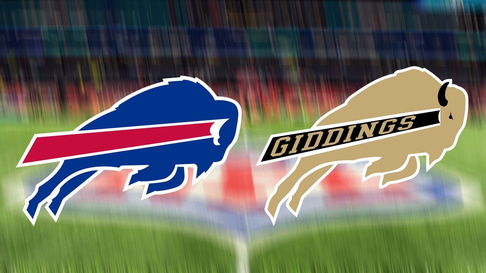
                <strong>Giddings Buffaloes (High-School-Team)</strong><br>
                Heimat: Giddings, TexasÄhnliches NFL-Logo: Buffalo Bills (l./ aus Orchard Park, New York)
              