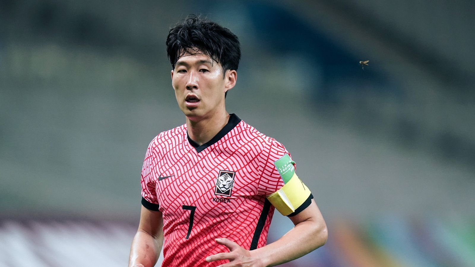 
                <strong>Südkorea</strong><br>
                &#x2022; Gesamtmarktwert: 164,48 Mio. Euro<br>&#x2022; Höchster Marktwert: Heung-min Son (Tottenham Hotspur, im Bild, 70 Mio. Euro)<br>&#x2022; Geringster Marktwert: Chul Hong (Deagu FC, 500.000 Euro)<br>
              