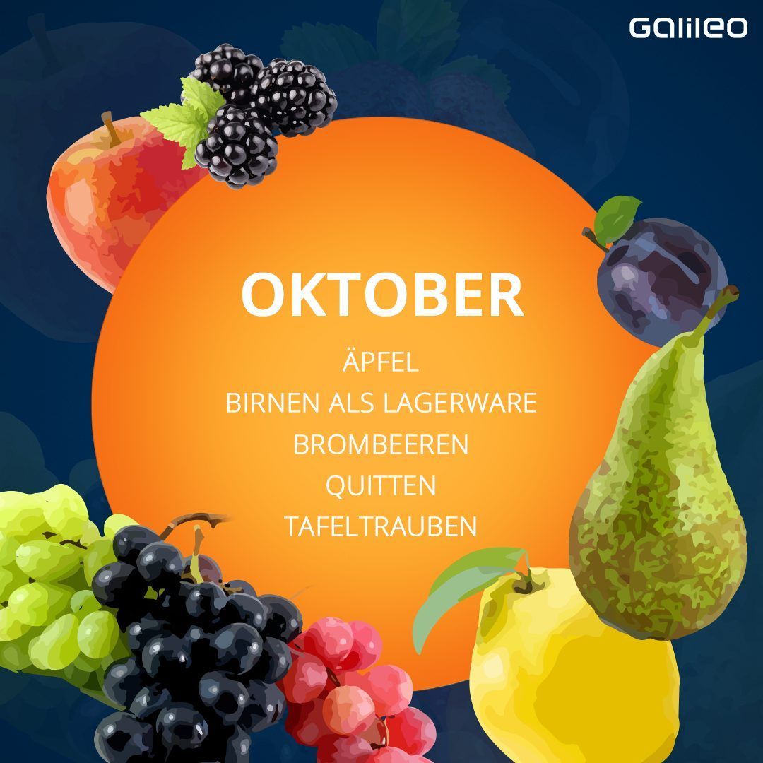 Saisonkalender Obst