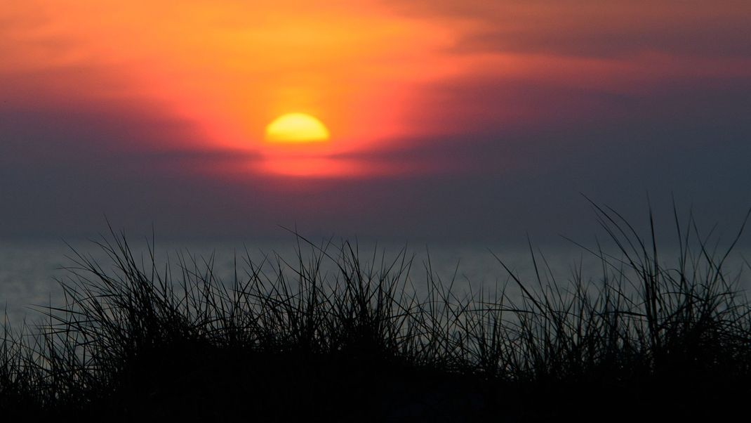 Romantischer kann man wohl nicht Wildpinkeln: Das nächtliche Urinieren in die Ostsee stellt laut Urteil keine Ordnungswidrigkeit dar.