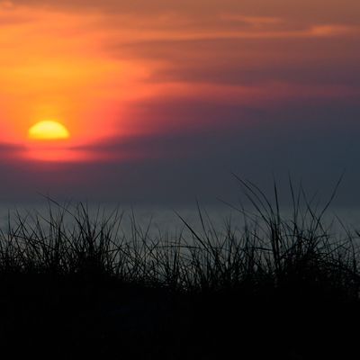  Das nächtliche Urinieren in die Ostsee stellt keine Ordnungswidrigkeit dar.