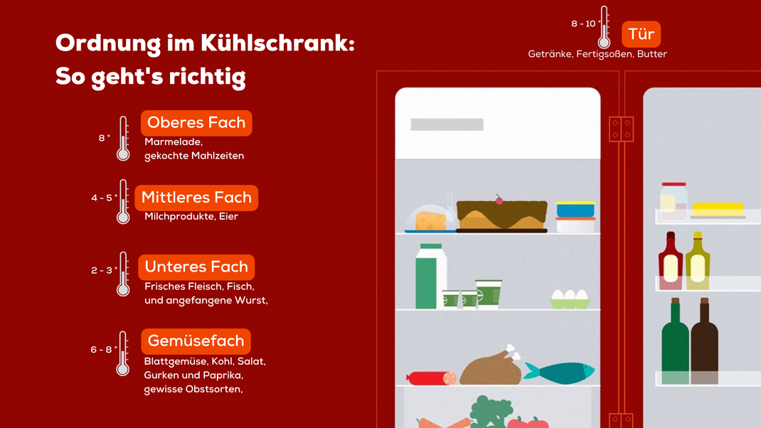 Übersicht: Die perfekte Kühlschrank-Ordnung. Welche Lebensmittel gehören wohin?