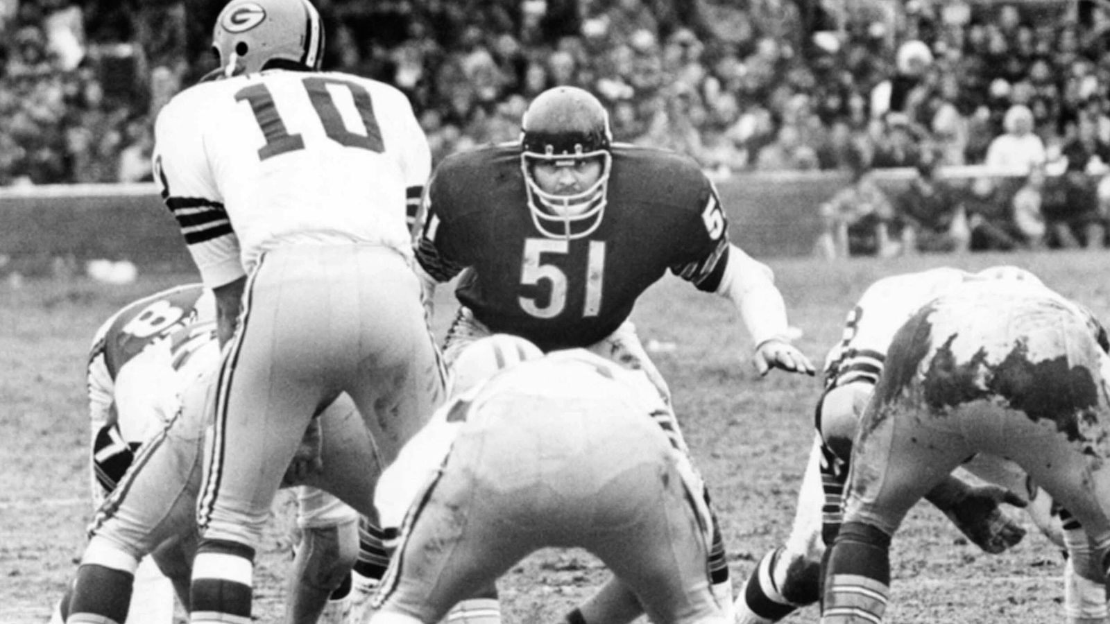 
                <strong>Dick Butkus</strong><br>
                Aktiv: 1965 - 1973Position: LinebackerTeam: Chicago BearsErfolge: 8x Pro Bowl, 2x Defensive Player of the Year
              
