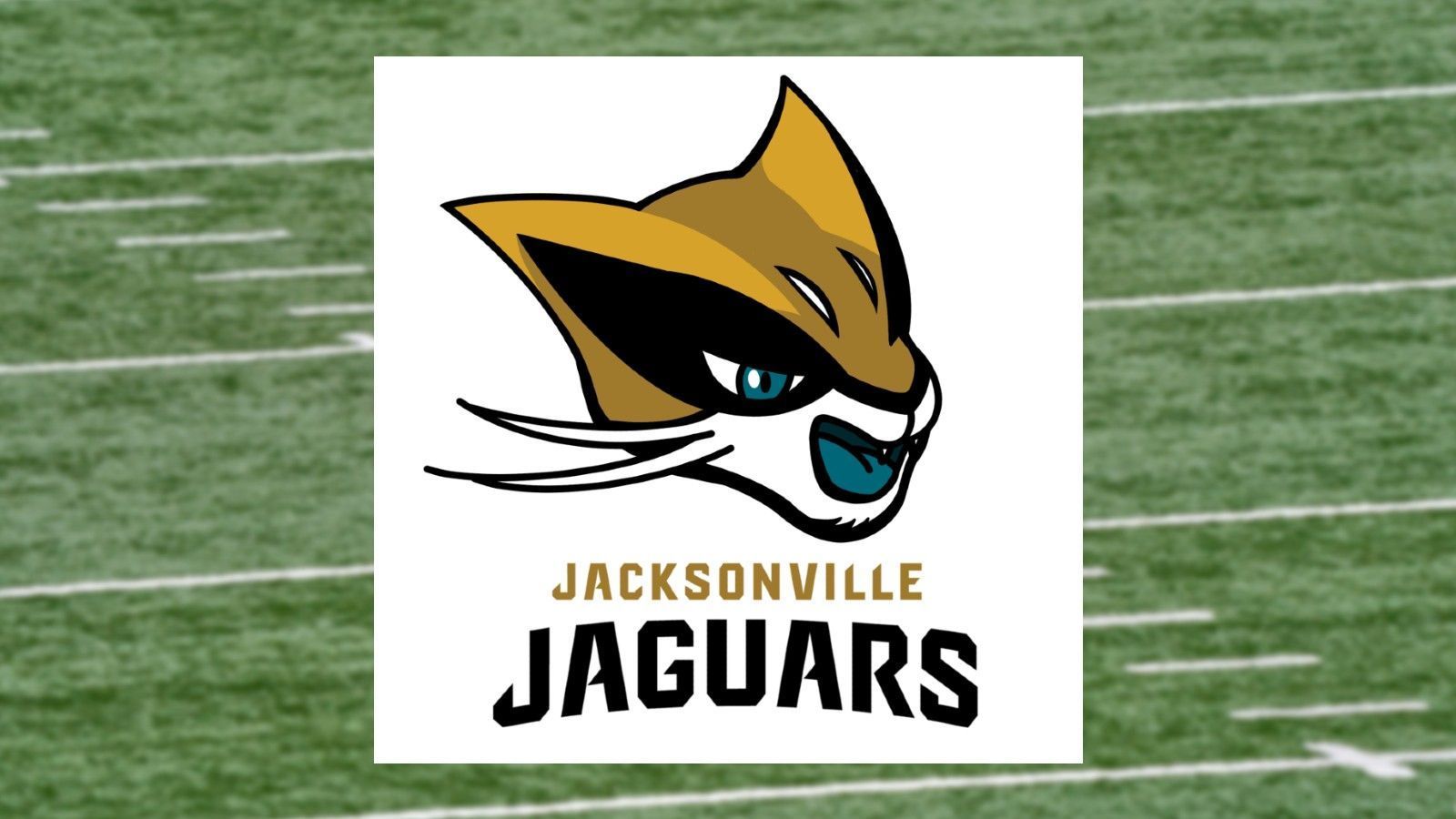
                <strong>Jacksonville Jaguars</strong><br>
                Pokemon: Kleoparda
              